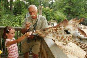 A visitor helps the trainer feed a Giraffe at the Birmingham Zoo.